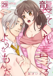 襲ってくれと言ってるようなもんだ 29