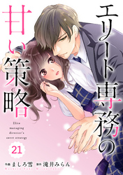 comic Berry’sエリート専務の甘い策略21巻