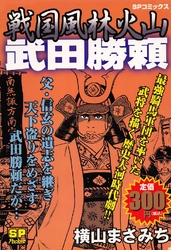 戦国風林火山 武田勝頼