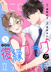 ここに復縁フラグが立っています　プチキス（３）