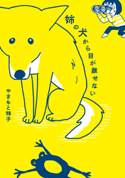 姉の犬から目が離せない
