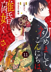 comic Berry’s初めましてこんにちは、離婚してください11巻