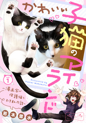 かわいい子猫のアイランド　～漫画家が保護猫を引き取った話～　ベツフレプチ