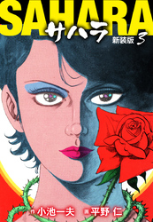 サハラ（新装版）　3