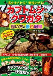 長生きさせる！繁殖させる！カブトムシ・クワガタ飼い方＆原色図鑑