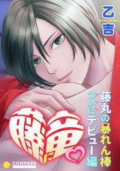 藤に竜～藤丸の暴れん棒ついにデビュー編～