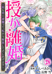 授か離婚～一刻も早く身籠って、私から解放してさしあげます！28