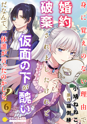 身に覚えのない理由で婚約破棄されましたけれど、仮面の下が醜いだなんて、一体誰が言ったのかしら？（6）