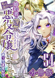 婚約者が浮気しているようなんですけど私は流行りの悪役令嬢ってことであってますか？【分冊版】54