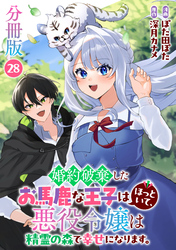 婚約破棄したお馬鹿な王子はほっといて、悪役令嬢は精霊の森で幸せになります。【分冊版】28