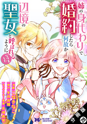 姉の身代わりで婚約したら何故か辺境の聖女と呼ばれるようになりました（コミック） 分冊版 28