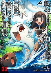 【分冊版】転生したら小魚だったけど龍になれるらしいので頑張ります 第33話