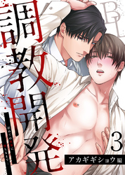 調教開発BL～初めての快楽に堕ちるまで…【分冊版】3