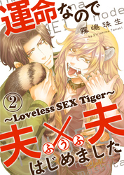 運命なので夫×夫はじめました　２～Loveless SEX Tiger～