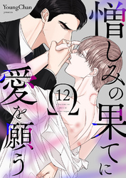 憎しみの果てに愛を願う１２