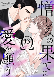 憎しみの果てに愛を願う１３