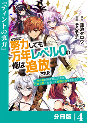 どれだけ努力しても万年レベル０の俺は追放された～神の敵と呼ばれた少年は、社畜女神と出会って最強の力を手に入れる～【分冊版】（ノヴァコミックス）４