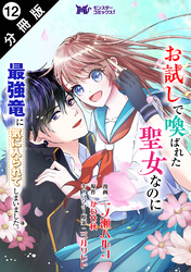 お試しで喚ばれた聖女なのに最強竜に気に入られてしまいました。（コミック） 分冊版 12