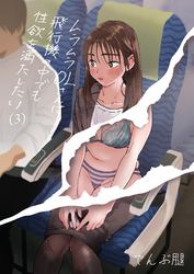 ムラムラOLさんは飛行機の中でも性欲を満たしたい(3)