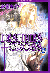 DESTINIES CROSS（２）