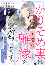 かりそめ妻は円満な離縁を所望します！～氷の騎士の溺愛はわかりづらい～