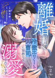 離婚したはずなのに、冷徹エリート御曹司に容赦なく溺愛されています２