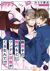 腐男子の俺のもとにツンデレ淫魔がくるなんて！？３