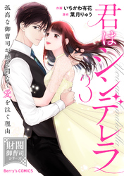 君はシンデレラ～孤高な御曹司が絶え間なく愛を注ぐ理由～【財閥御曹司シリーズ】3巻