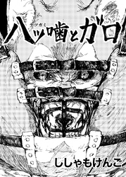 八ツ噛とガロ