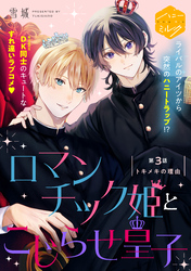 ロマンチック姫とこじらせ皇子　分冊版（３）