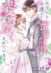 エリート弁護士に蜜月同棲で愛し尽くされています　2