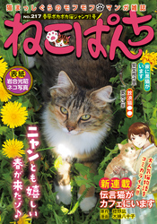 ねこぱんちNo.217 　春風ポカポカ猫ジャンプ！号