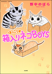 ほっこり・箱入りネコＢＯＹＳ