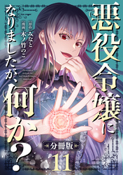 悪役令嬢になりましたが、何か？【分冊版】11