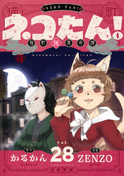 ネコたん！～猫町怪異奇譚～(28)