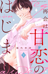 再会は甘恋のはじまり　分冊版（９）