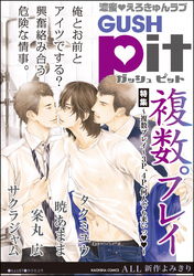 GUSHpit　複数プレイ～３Ｐ、４Ｐ、何人でも来いっ～