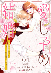 愛し子の結婚～偽装契約なのにエリート騎士様が甘すぎる～４