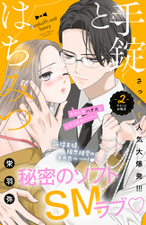 【期間限定 無料お試し版】手錠とはちみつ 分冊版(2)