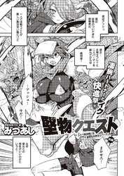 堅物クエスト ～スケベ魔法使いは寡黙な女戦士とパーティを組む～