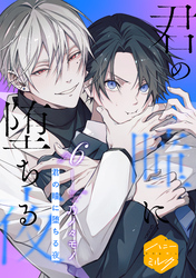 君の瞳に堕ちる夜　分冊版（６）
