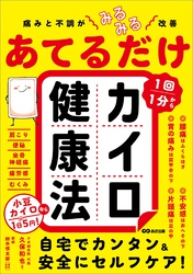 痛みと不調がみるみる改善 あてるだけカイロ健康法