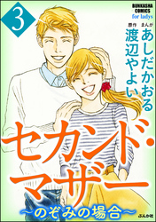 セカンド・マザー～のぞみの場合～　3