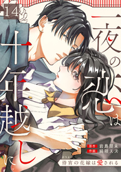 一夜の恋は十年越しに～待宵の花嫁は愛される～(14)