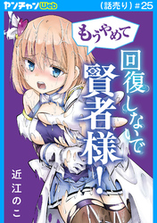 もうやめて回復しないで賢者様！(話売り)　#25