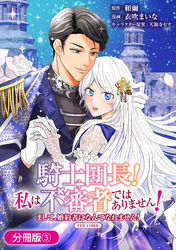 騎士団長！ 私は不審者ではありません！ まして、婚約者になんてなれません！ THE COMIC【分冊版】 3巻