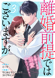 離婚前提ではございますが～エリート旦那さまの溺愛プロジェクト～ 3巻